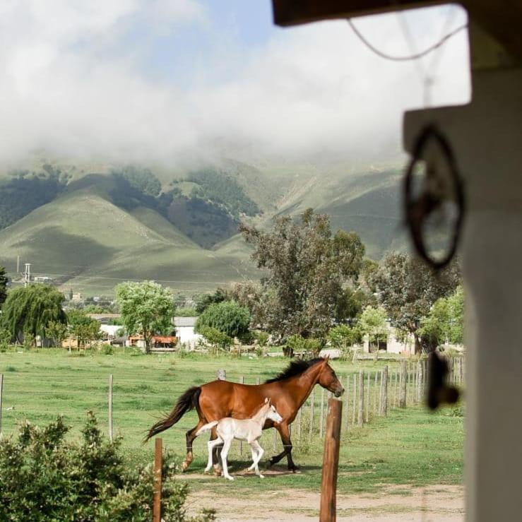 Entre Montanas Tafí del Valle Exterior foto