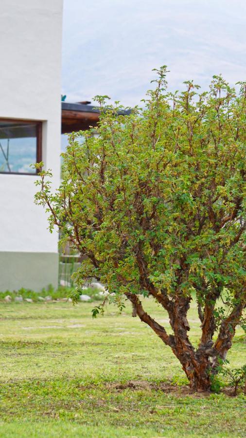 Entre Montanas Tafí del Valle Exterior foto